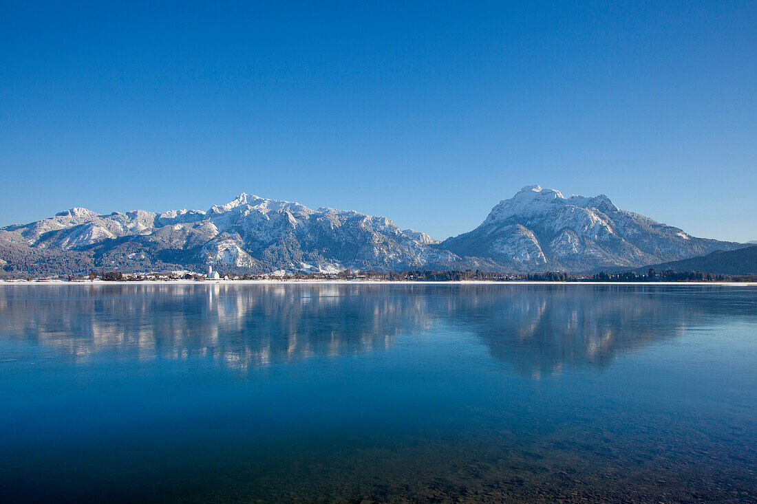 Blick über den Forggensee zu den Allgäuer Alpen mit Tegelberg und Säuling, Allgäu, Bayern, Deutschland