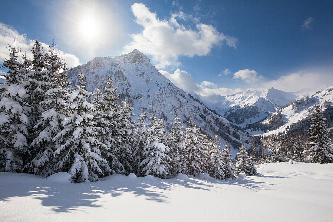 Winter landscape at Hintersteiner Tal, near Bad Hindelang, view to Giebel, Allgaeu, Bavaria, Germany