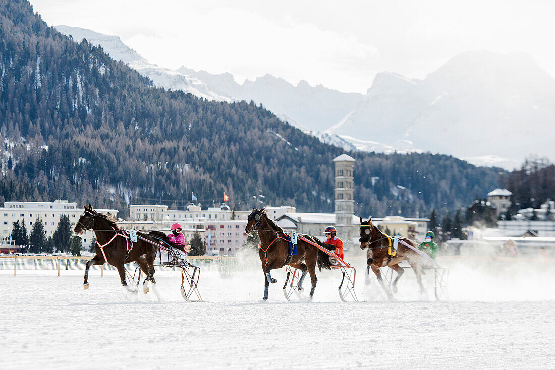 White Turf Horse Race 2013, St. Moritz, Engadine valley, Upper Engadin, Canton of Graubuenden, Switzerland