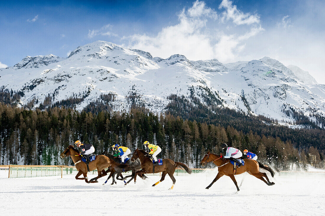 White Turf Horse Race 2013, St. Moritz, Engadine valley, canton of Graubünden, Switzerland