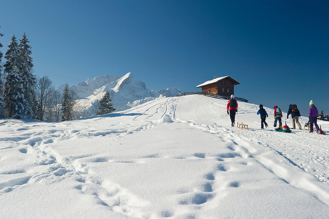 Schlittenfahrer am Eckbauer und Alpspitze im Hintergrund, Garmisch-Partenkirchen, Bayern, Deutschland