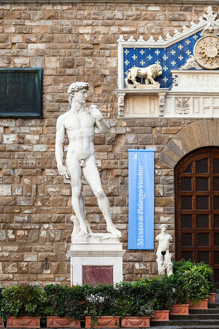 Copy of the David statue by Michelangelo in front of the Palazzo vecchio, Piazza della Signoria, Florence, Tuscany, Italy, Europe