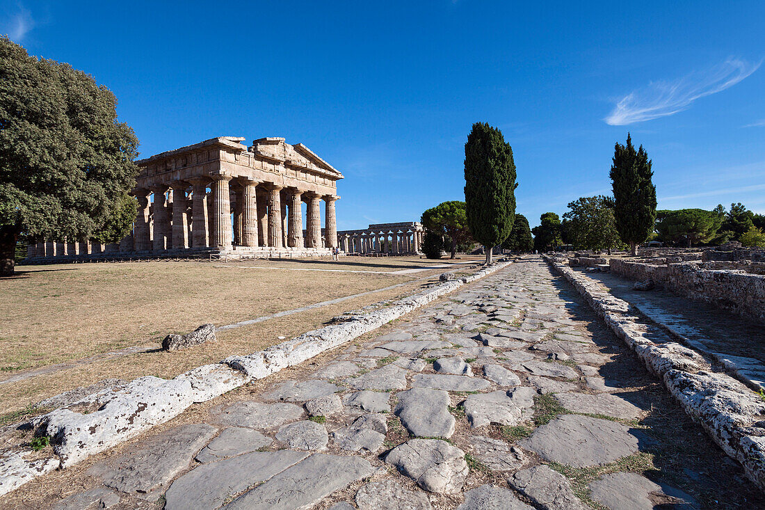 Poseidon Temple, Neptune Temple, Sacred Street, historic town of Paestum in the Gulf of Salerno, Capaccio, Campania, Italy, Europe