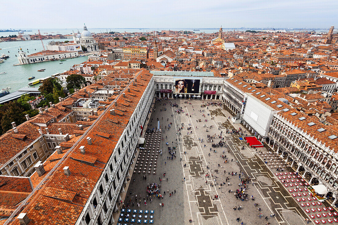 Old and new Procuracies on St. Mark's Square, Venice, Venetia, Italy, Europe