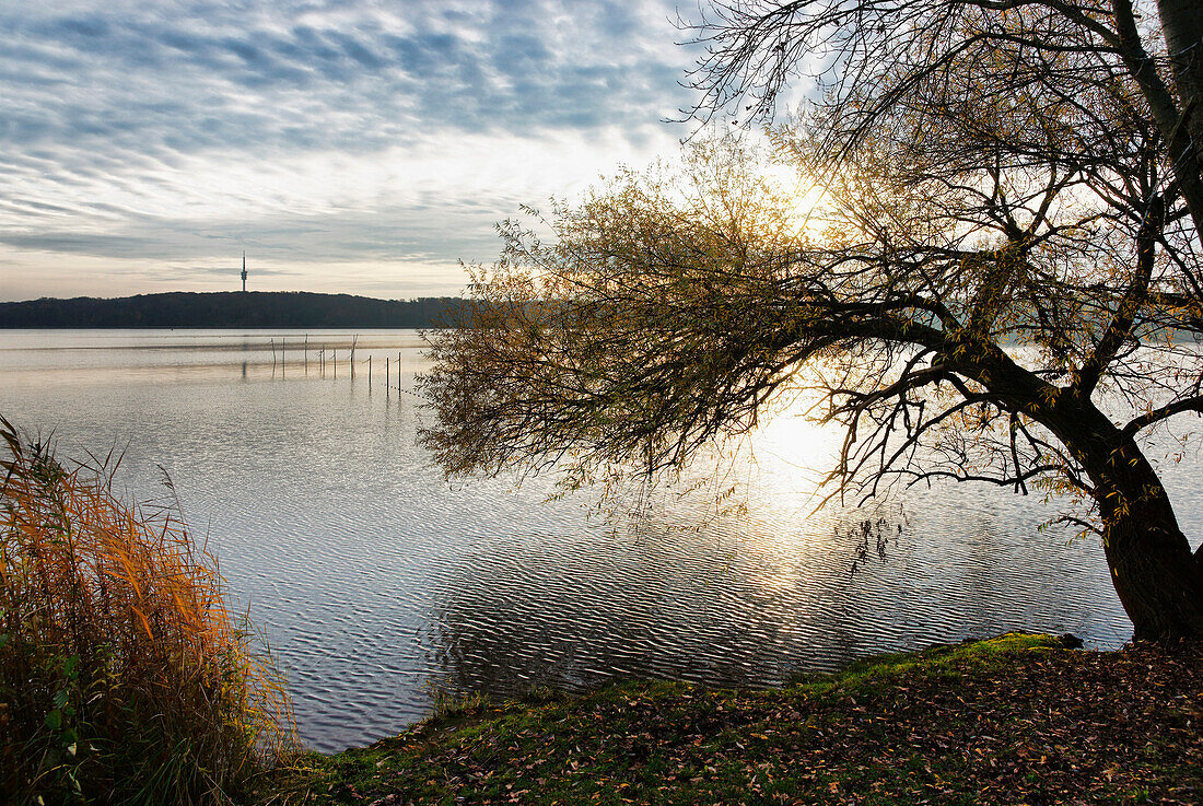 herbstlicher Jungfernsee, Havel, Funkturm Berlin, Potsdam, Land Brandenburg, Deutschland