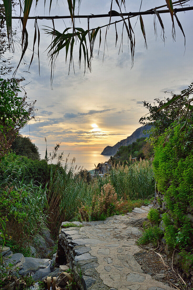 Weg mit Blick aufs Meer, Cinque Terre, Nationalpark Cinque Terre, UNESCO Weltkulturerbe Cinque Terre, Ligurien, Italien