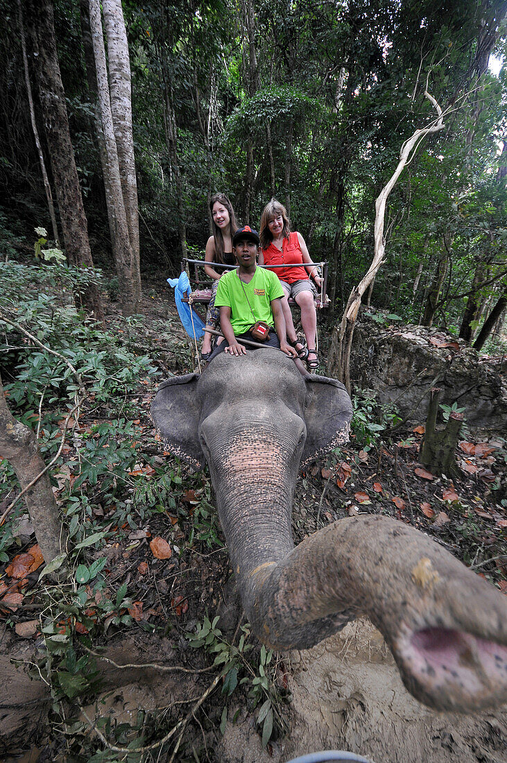 Elefantenreiten bei Ao Nang, Krabi, Andamanensee, Thailand, Asien