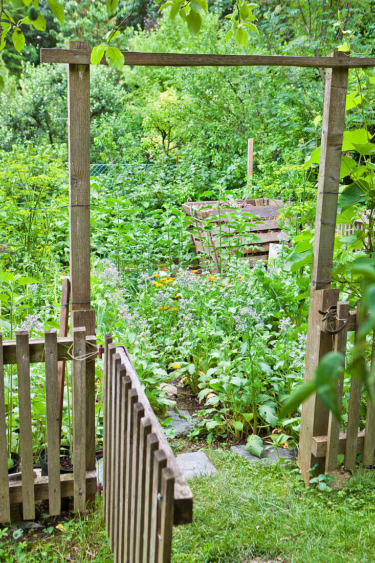 Offenes Gartentor, Gemüsegarten mit Kräuter, Wien, Österreich