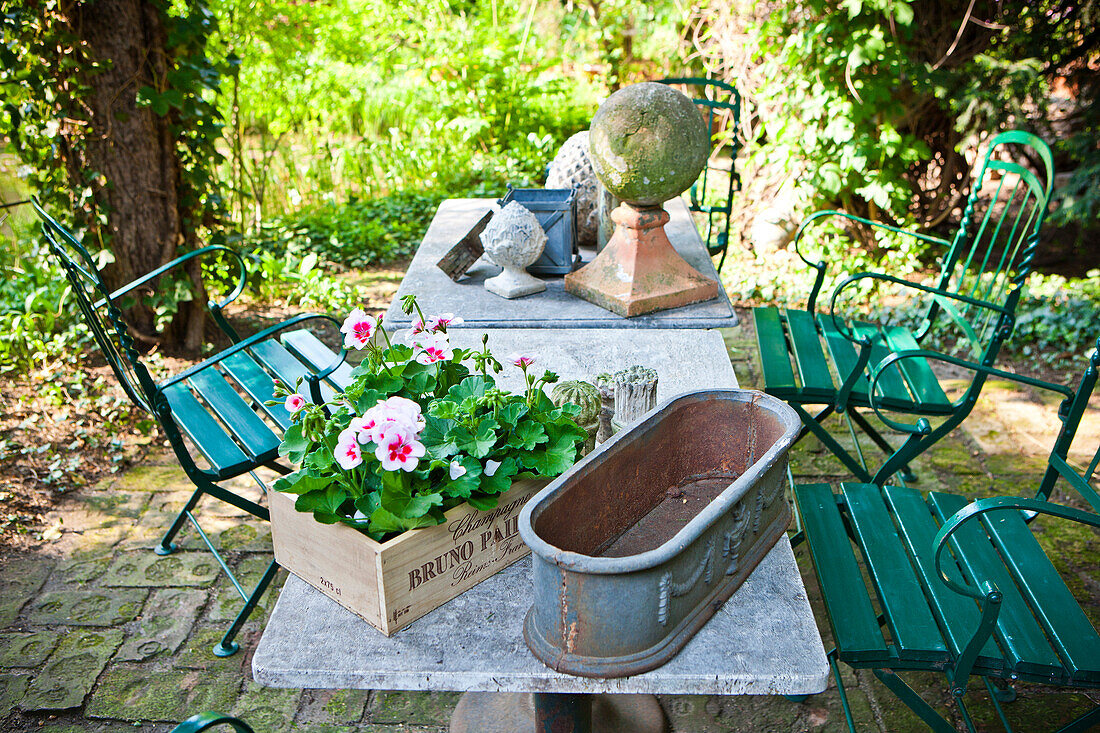 Tisch mit Blumentopf für Geranien, Garten im Sommer, Wien, Österreich
