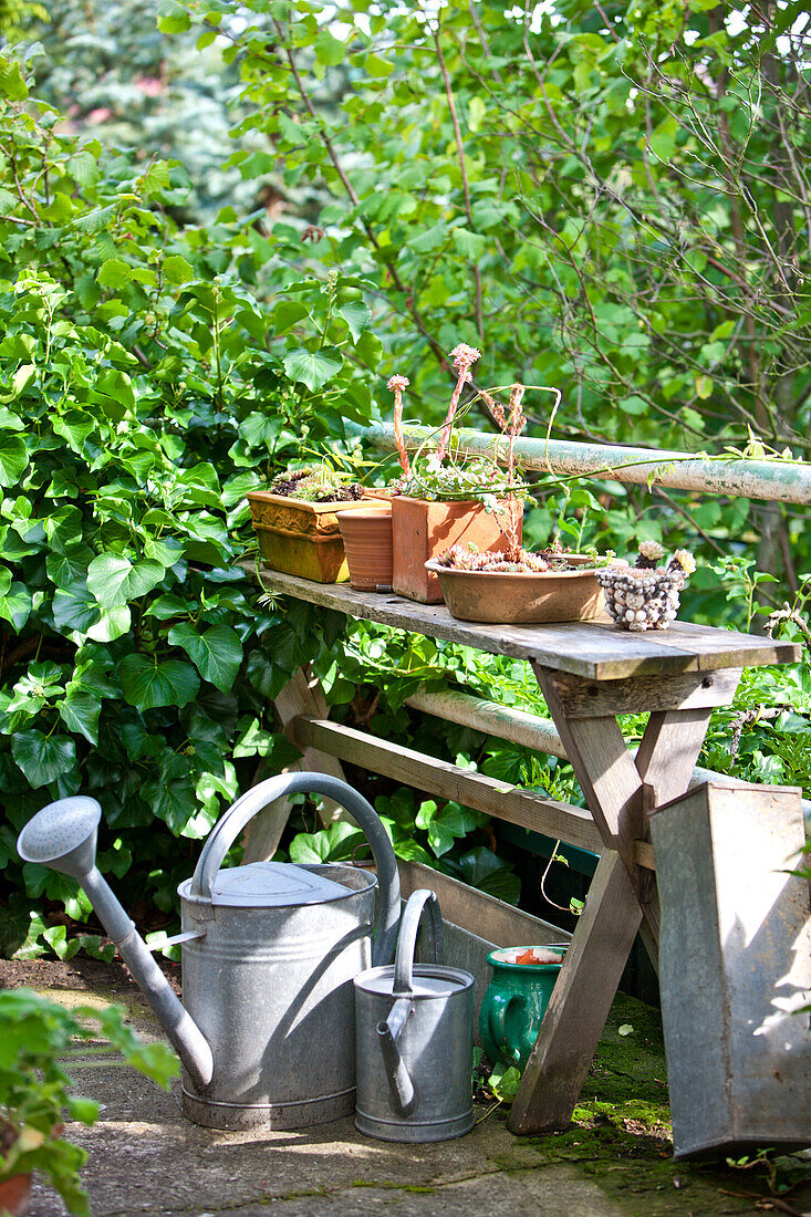 Gießkanne vor einem Tisch mit Efeu bewachsen, ein Garten im Sommer, Wien, Österreich
