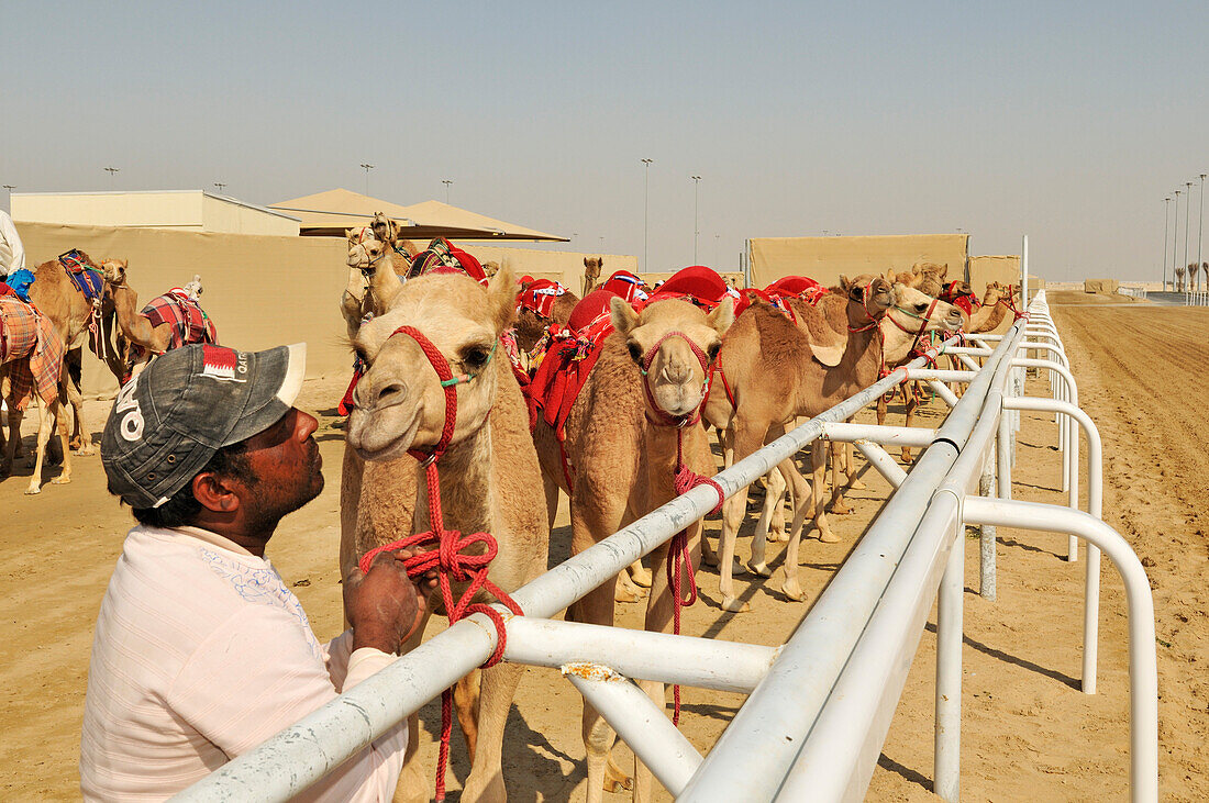 Al Sheehaniya, Camel Racing Track, Salwa Road, Doha, Qatar, Arabian Peninsula