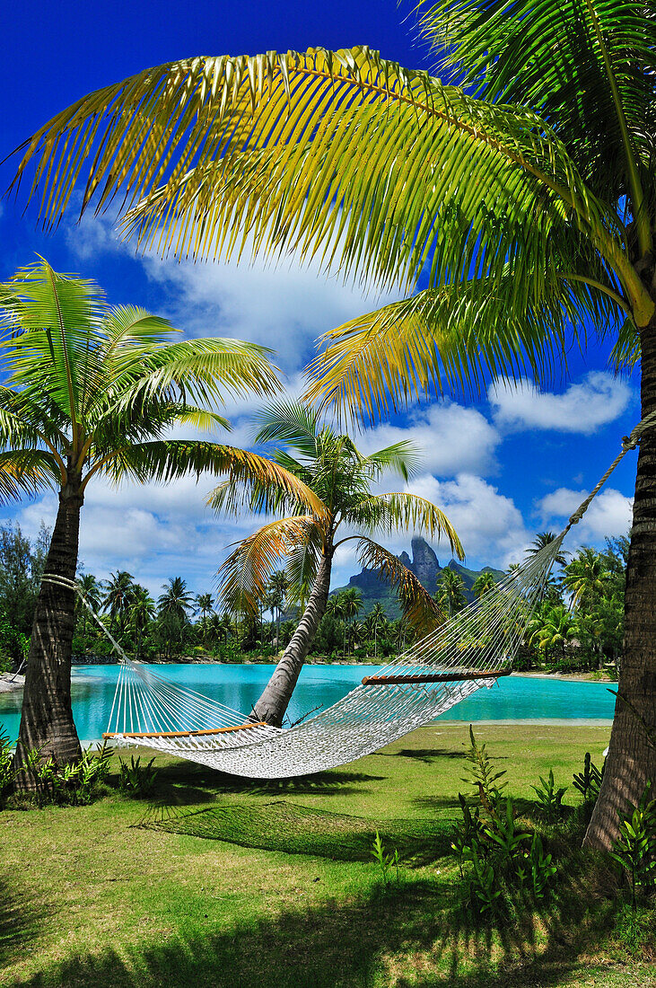 Hammock between two palm trees, Saint Regis Bora Bora Resort, Bora Bora, Society Islands, French Polynesia, Windward Islands, South Pacific