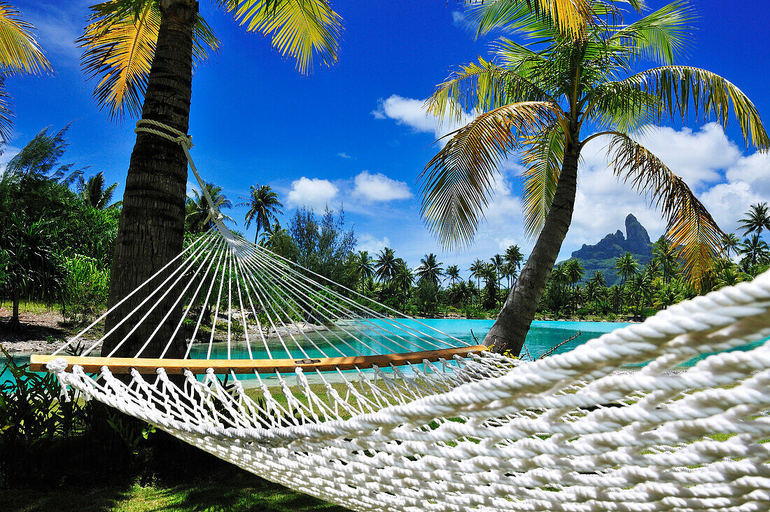 Hammock between two palm trees, Saint Regis Bora Bora Resort, Bora Bora, Society Islands, French Polynesia, Windward Islands, South Pacific