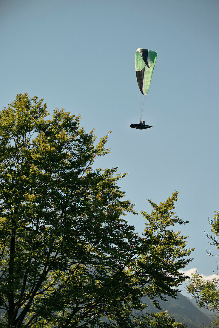 Fallschirmspringer im Landeanflug am See von Bohinj, Triglav Nationalpark, Julische Alpen, Gorenjska, Slowenien