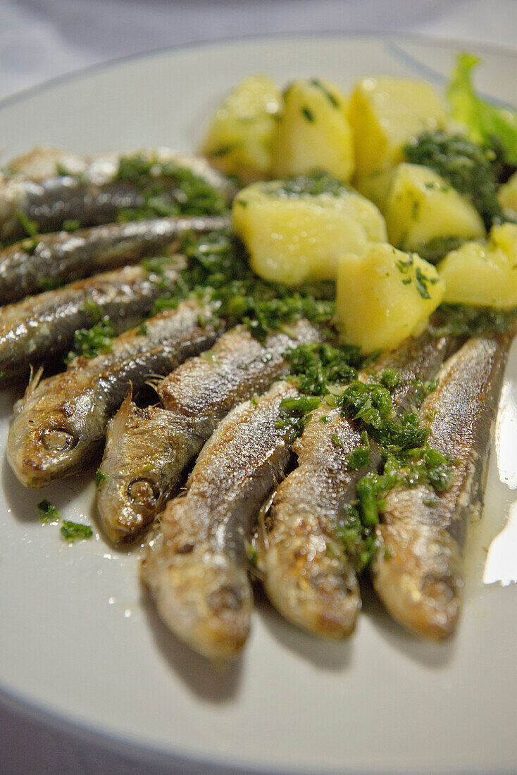 Gegrillte Sardinen mit Kartoffeln auf Teller, Piran, Adria Küste, Mittelmeer, Primorska, Slowenien