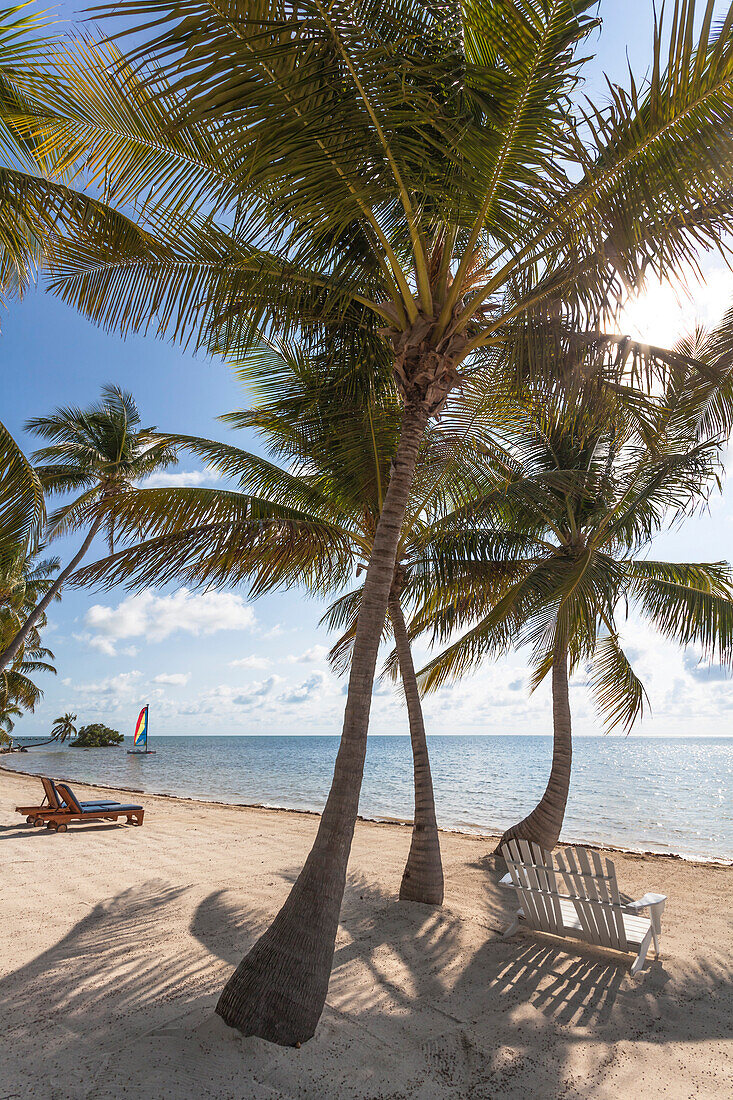 Beach at the Moorings Village Resort, Islamorada, Florida Keys, Florida, USA