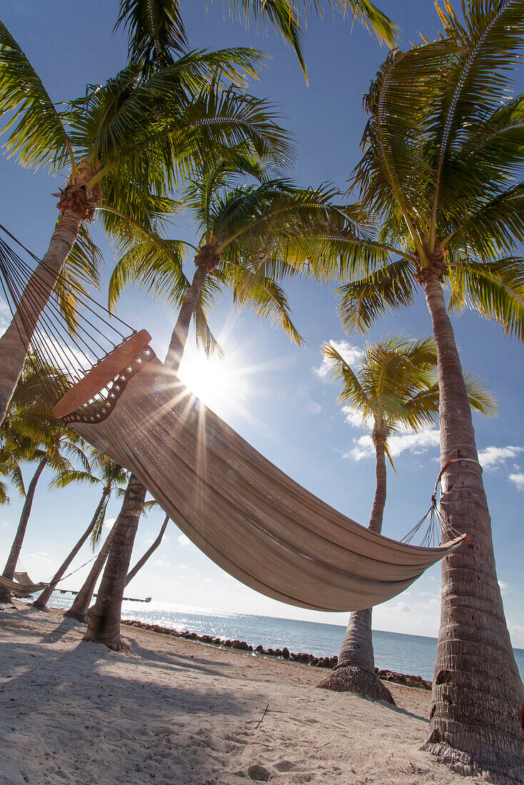 Beach area with hammock at luxury hotel Reach Resort, Key West, Florida Keys, USA