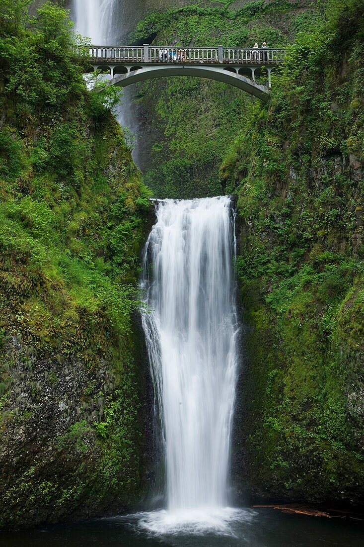 FOOTBRIDGE OVER MULTNOMAH WATERFALLS COLUMBIA RIVER GORGE OREGON USA