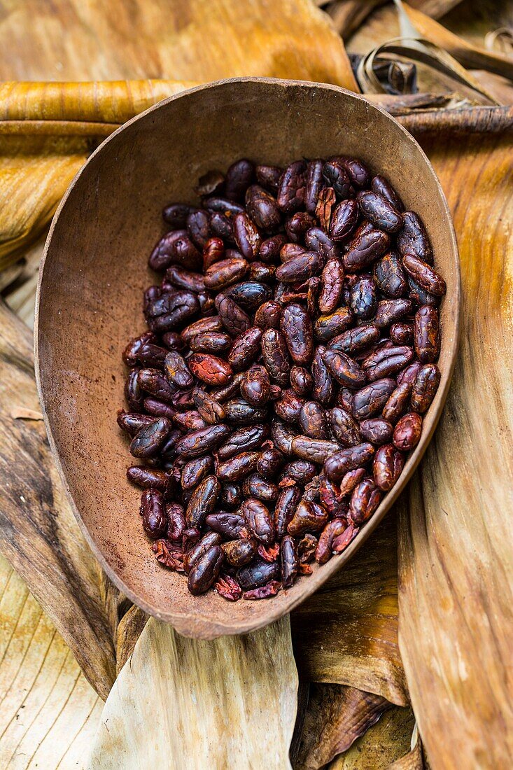 Roasted cacao beans, Oreba organic cacao, Oeste Arriba River, Ngabe Ethnic Group, Bocas del Toro Province, Panama, Central America, America