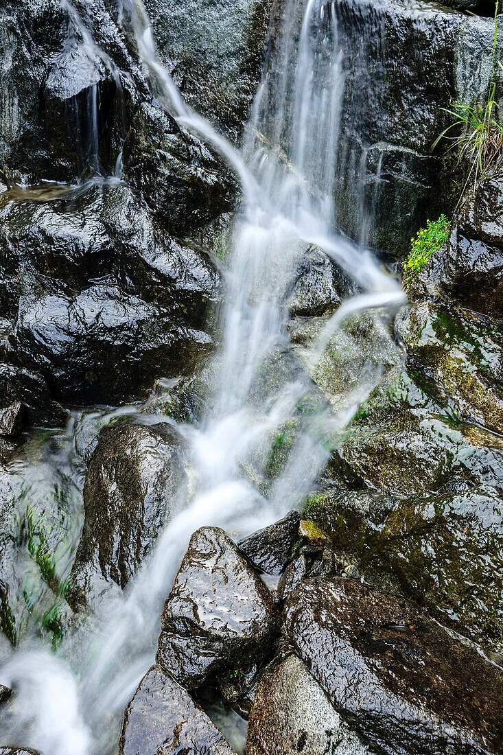 Wildbach Les Laquettes, Naturpark Neouvielle, französische Pyrenäen, Bigorre, Frankreich