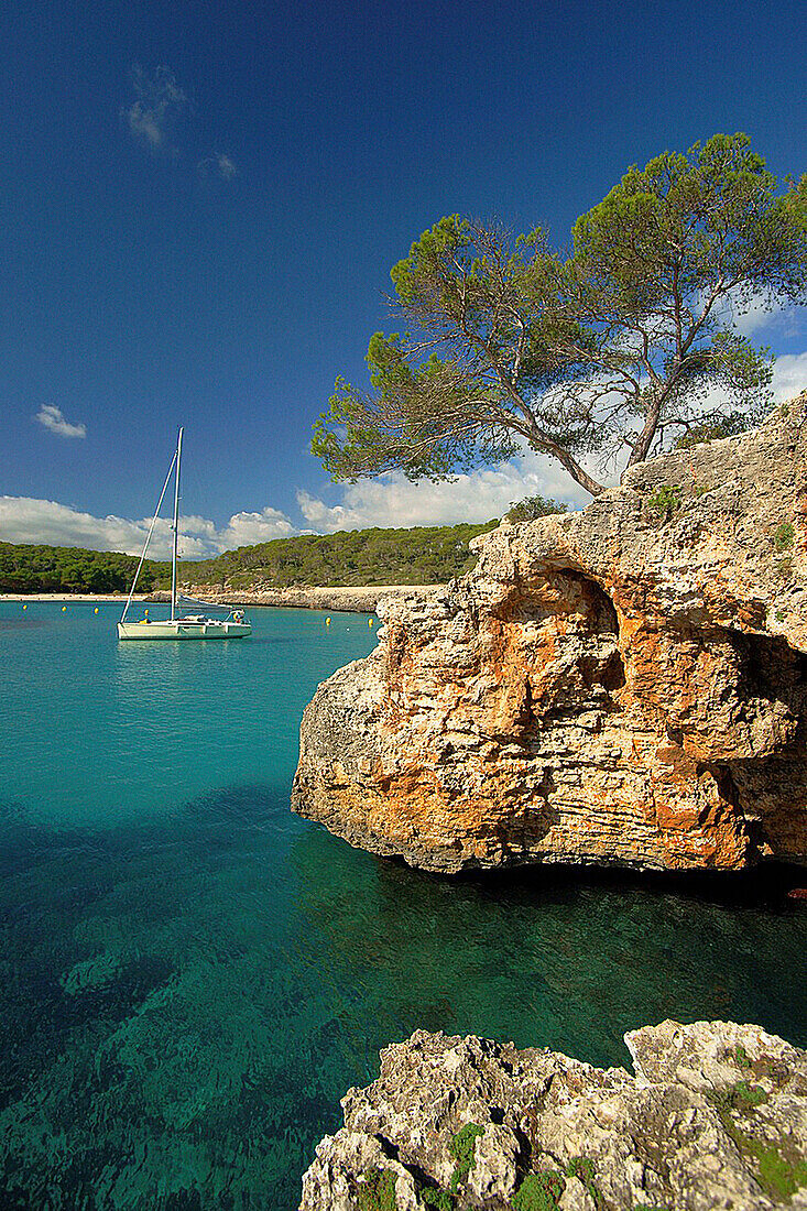 S'Amarador, Naturpark Mondragó, Santanyi, Migjorn, Mallorca, Balearen, Spanien