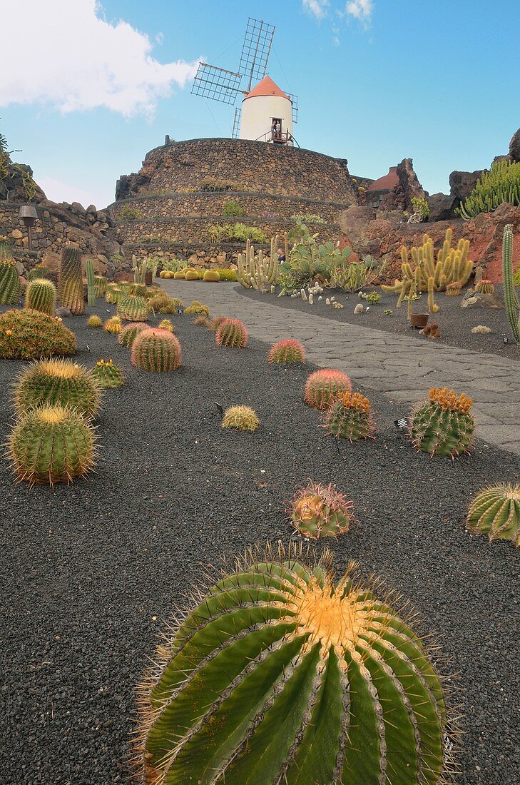 Cactus Garden Lanzarote