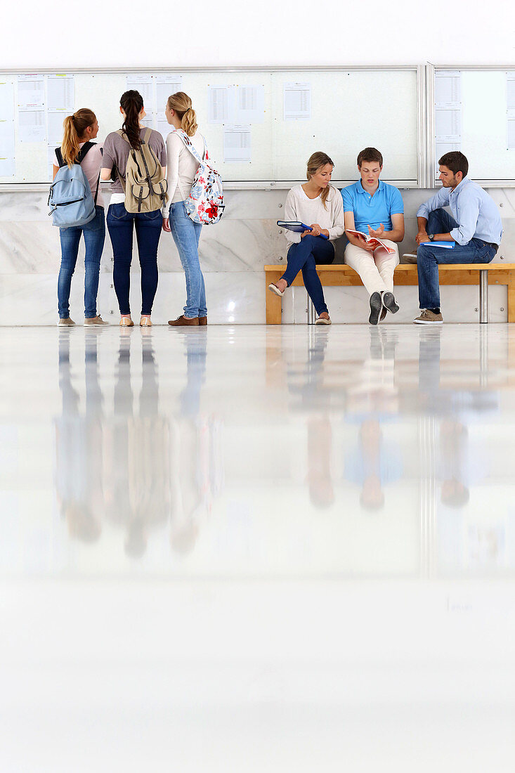 Schwarzes Brett, Studenten, Fakultät für Wirtschaft, UPV, EHU, Universität des Baskenlandes, San Sebastian, Donostia, Gipuzkoa, Baskenland, Spanien