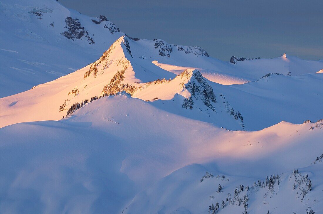Coleman Pinnacle in the Mount Baker Wilderness of Washington glows in the dawn light of a winter morning