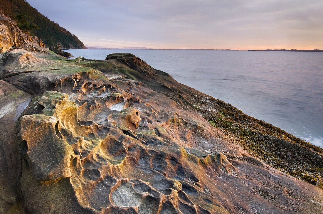 Clayton Beach, Larrabee State park Washington