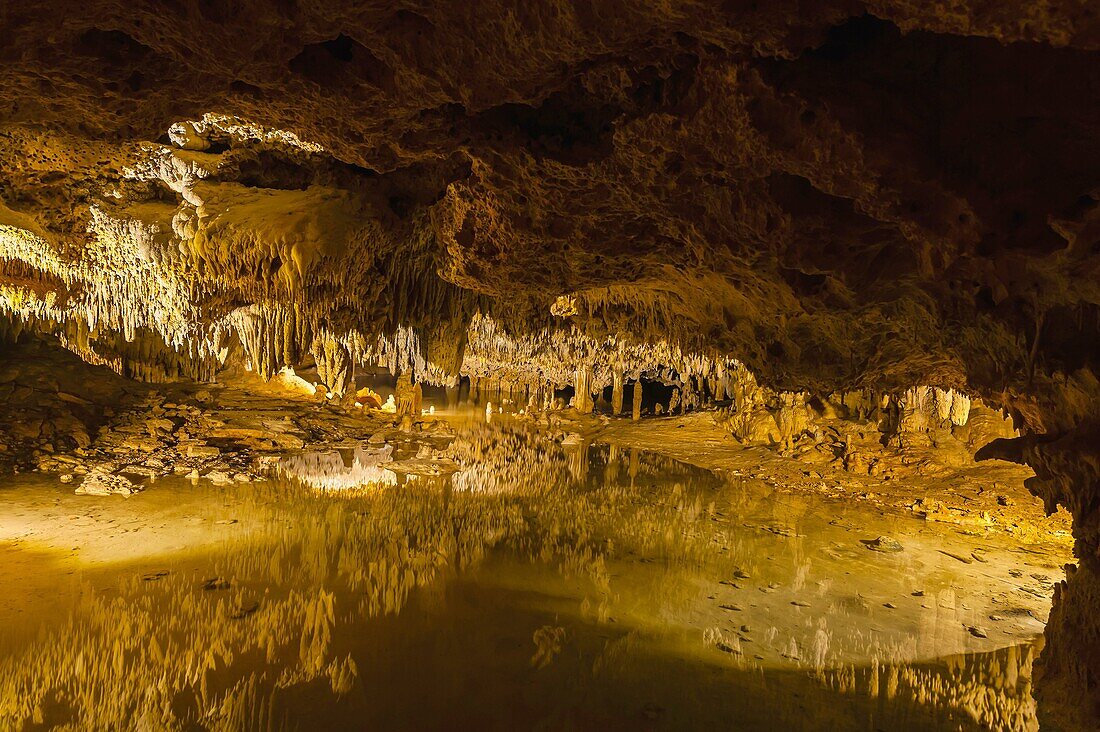 Limestone caves containing stalactites and stalagmites and cenotes connecting to an underground river, Aktun Chen Natural Park, Aktun, Riviera Maya, Mexico