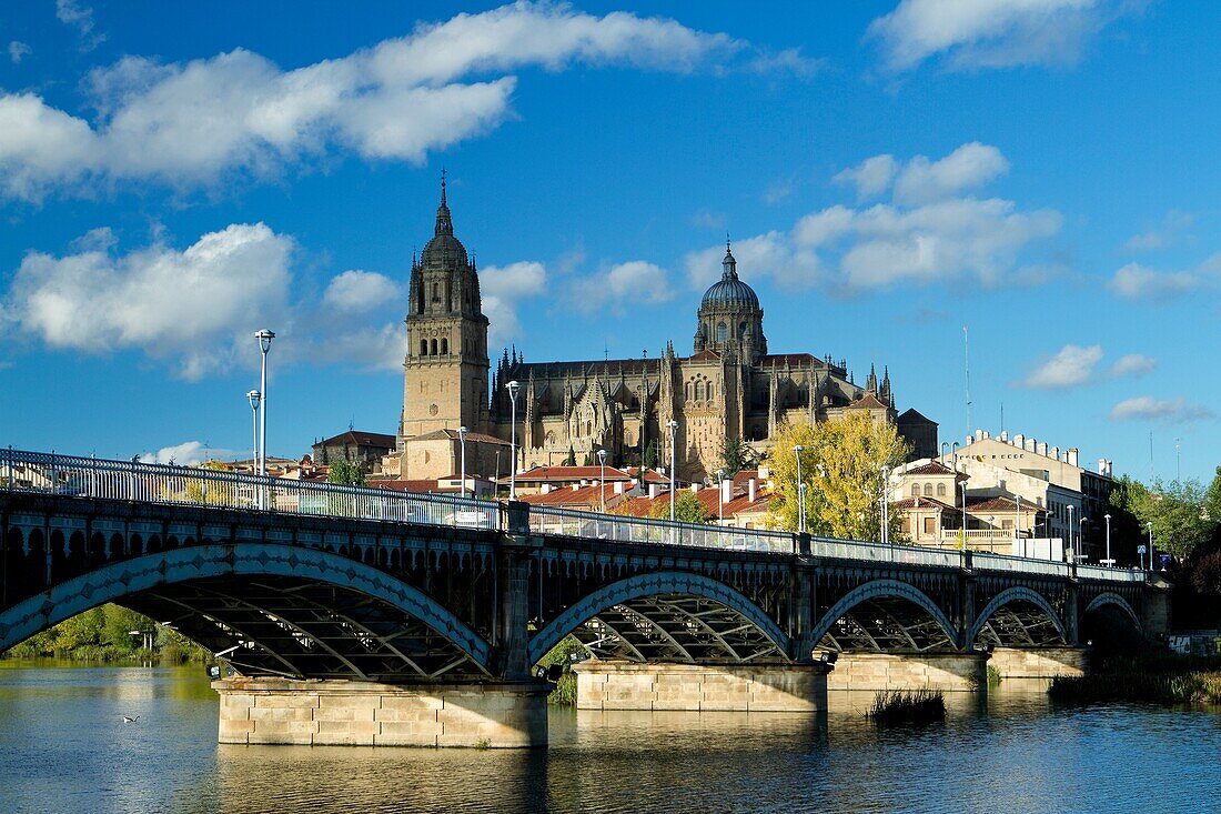 Overview of Salamanca city and itd New Cathedral from San Esteban Bridge over the Tormes river  Salamanca  Castilla y Leon  Spain