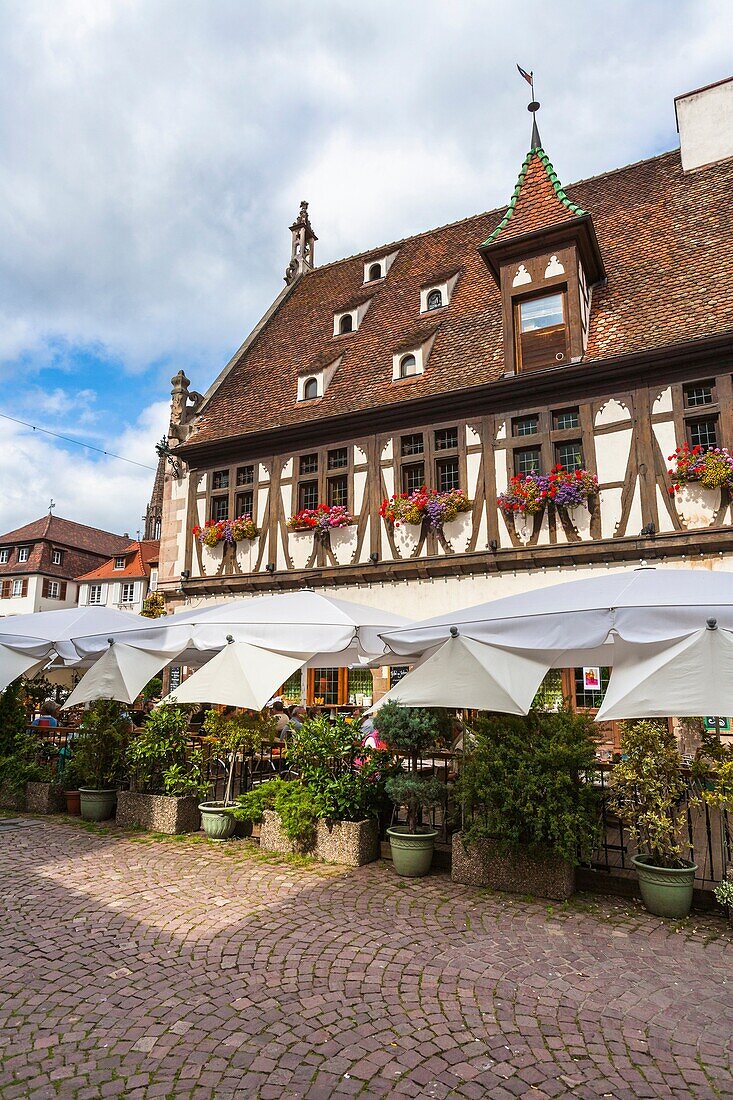 Alsace, architecture, Bas-Rhin, building, charming, city, cityscape, color image, construction, day, enchanting, frame, France, idyll, idyllic, Obernai, outdoors, scenic, timber, timbered, tourism, town, travel, vertical, village, World locations, World t