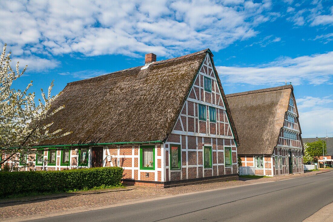 Altes Land, architecture, building, color image, construction, day, Europe, frame, Germany, horizontal, house, outdoors, thatch, Thatched roof, timber, timbered, V04-1818605, AGEFOTOSTOCK