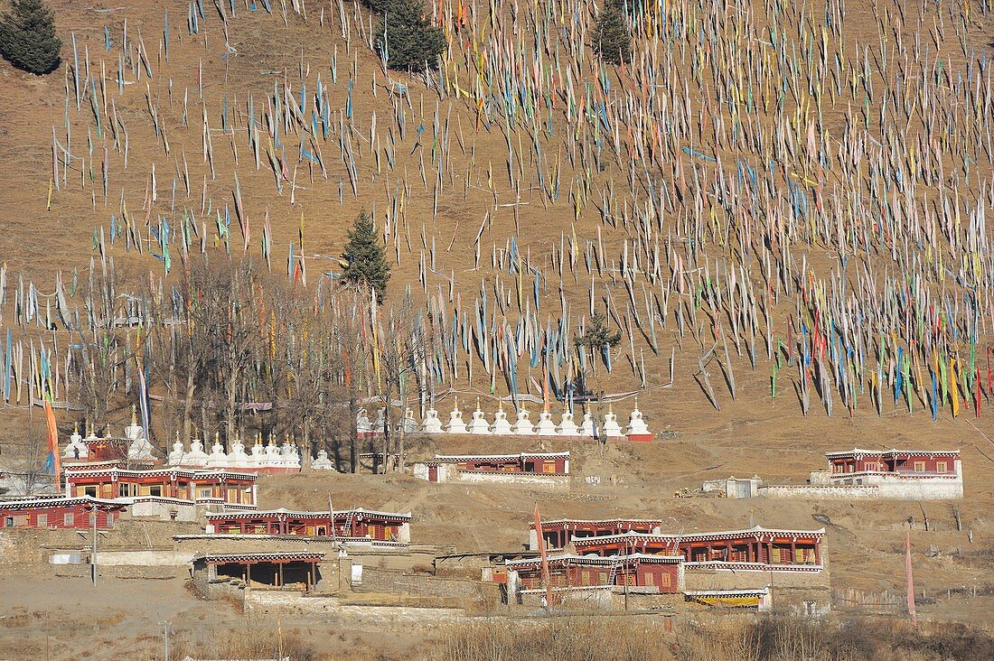 China, Sichuan, Kham, Dawu Daofu region, Kaje monastery surrounded with prayer flags