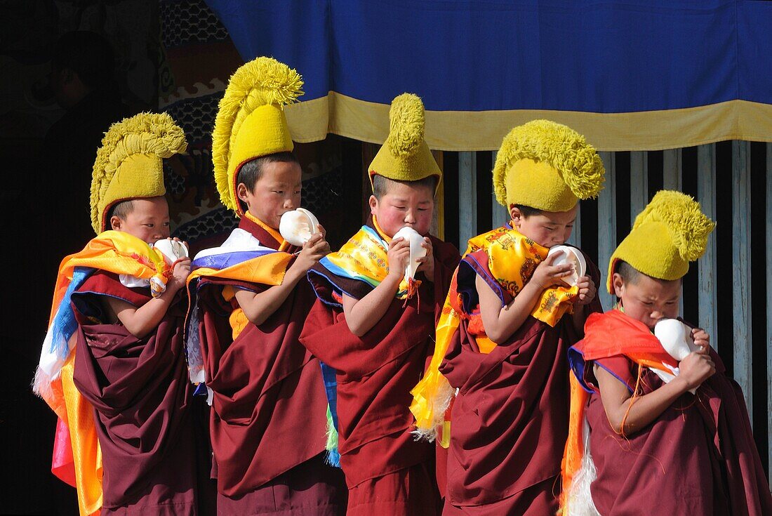 China, Qinghai, Amdo, Tongren Rebkong, Monastery of Gomar Guomari Si, Losar New Year festival, Opening ceremony, Young novices blowing conch shells