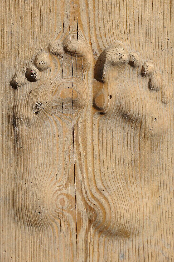 China, Qinghai, Amdo, Tongren Rebkong, Monastery of Rongwo Longwu Si, Manjushri Hall, Footprints of monk Gedung Kalsang who reputedly made around 2000 prostrations per day for 3 years