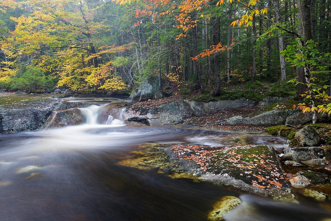 Harvard Brook in the White Mountains, New Hampshire USA during the autumn months