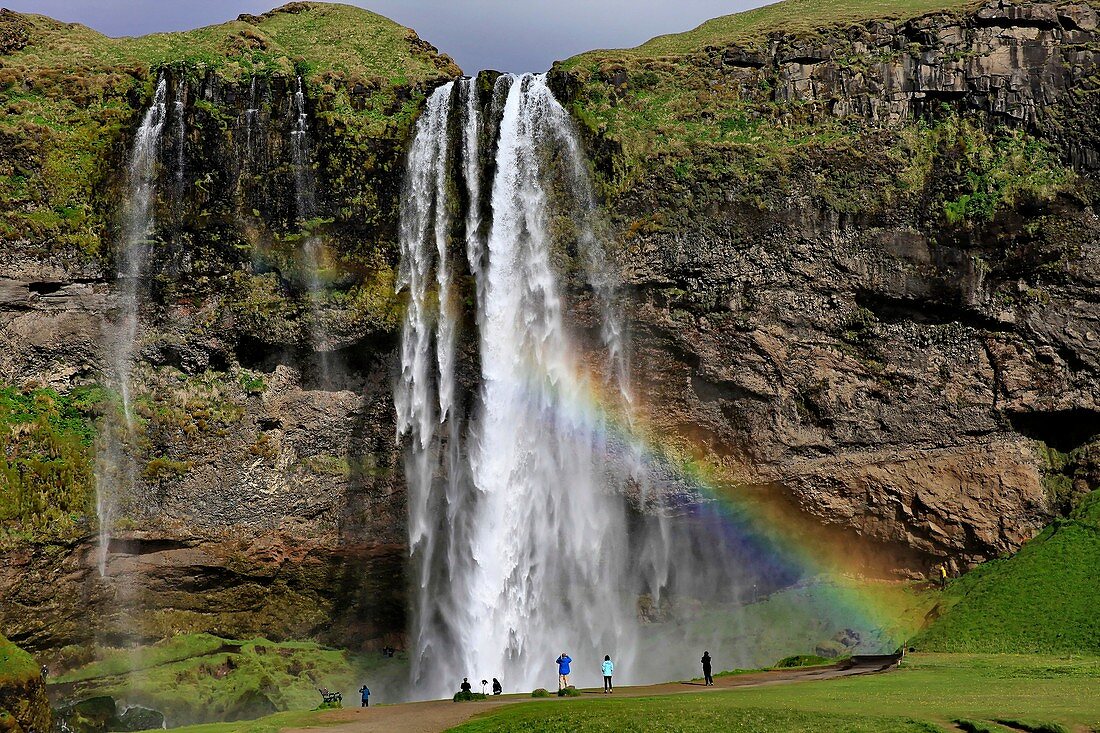 Iceland, Heimaey, the largest island in the Vestmannaeyjar archipelago