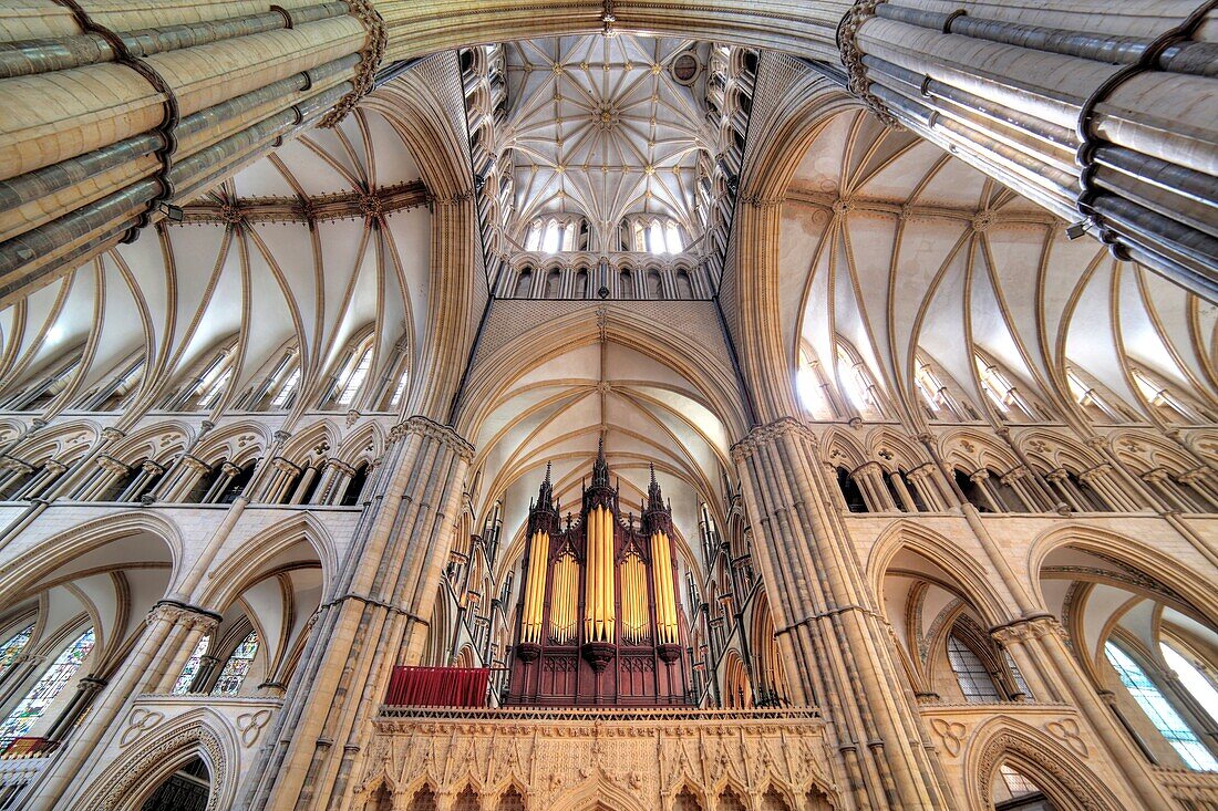 Lincoln Cathedral, Lincoln, Lincolnshire, England, UK