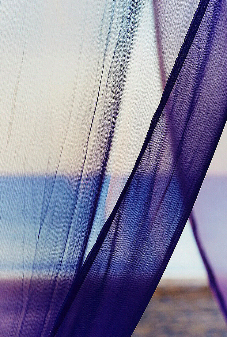 Violet veil at the beach