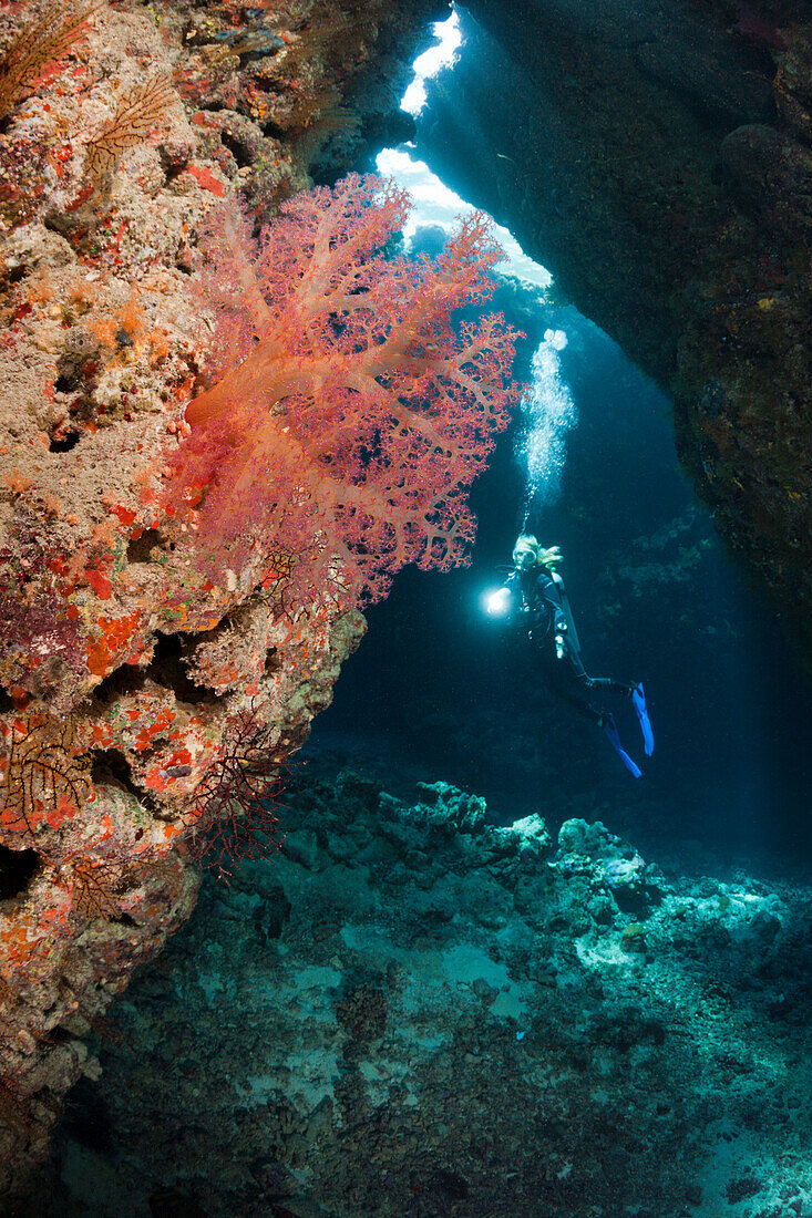 Scuba Diver inside Cave, Cave Reef, Red Sea, Egypt