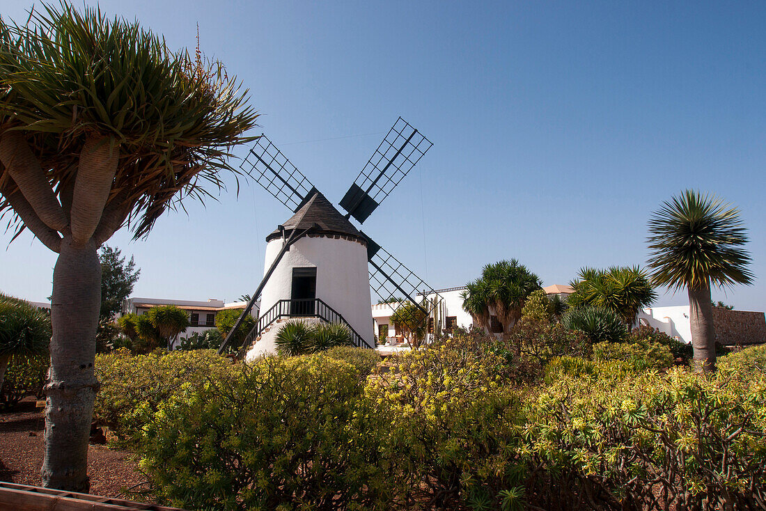 Museum mit Windmühle, Tiscamanita, Tuineje, Tefia, Antigua, Fuerteventura, Kanarische Inseln, Spanien, Europa