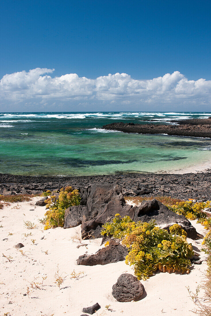 Coastal landscape with sea view, Nature Reserve, El Cotillo, Fuerteventura, Canary Island, Spain, Europe