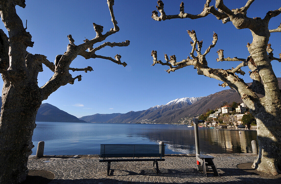 Am Seeufer von Ascona, Lago Maggiore, Tessin, Schweiz