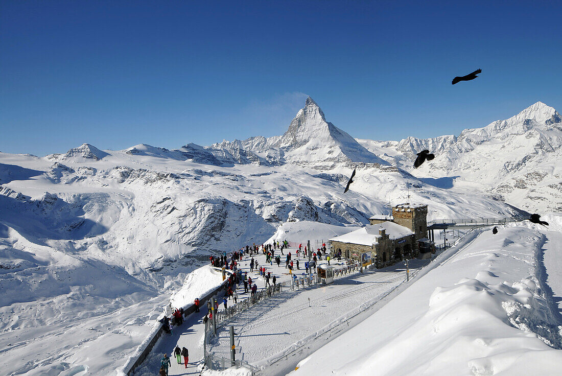 Gornergradbahn with Matterhorn on the Gornergrad, Zermatt ski resort, Valais, Switzerland