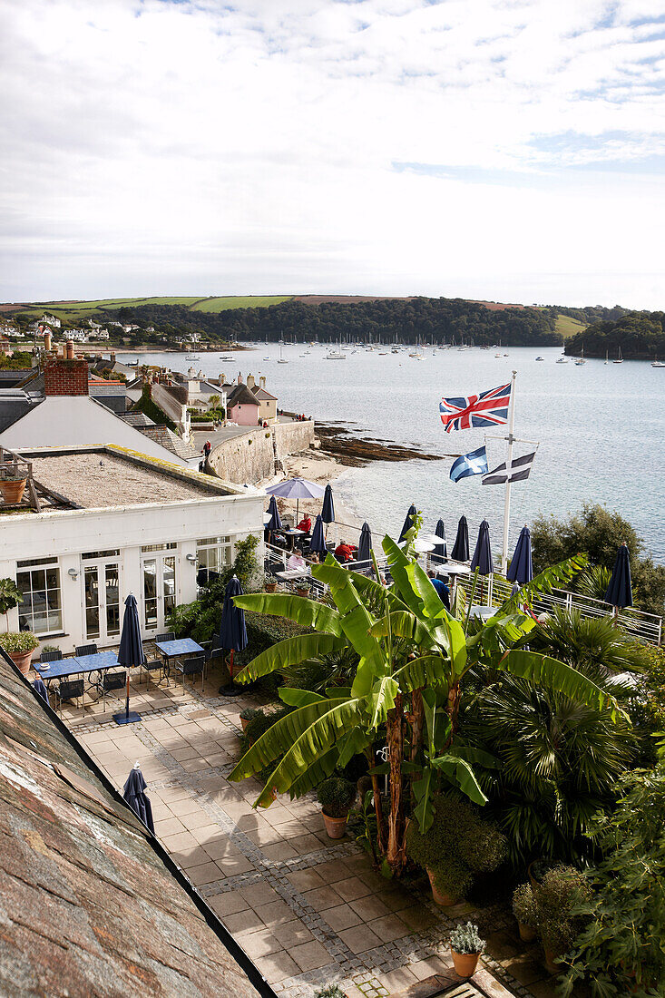 View from hotel room over a bed of banana trees towards the harbour of St. Mawes, Hotel Tresanton, St. Mawes, Cornwall, Great Britain