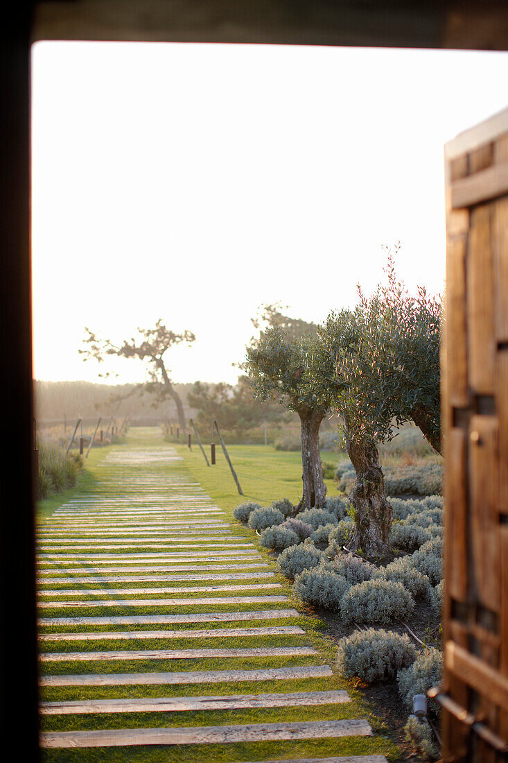 Planks marking the path to the beach, Povoa de Penafirme, Costa de Prata, Portugal