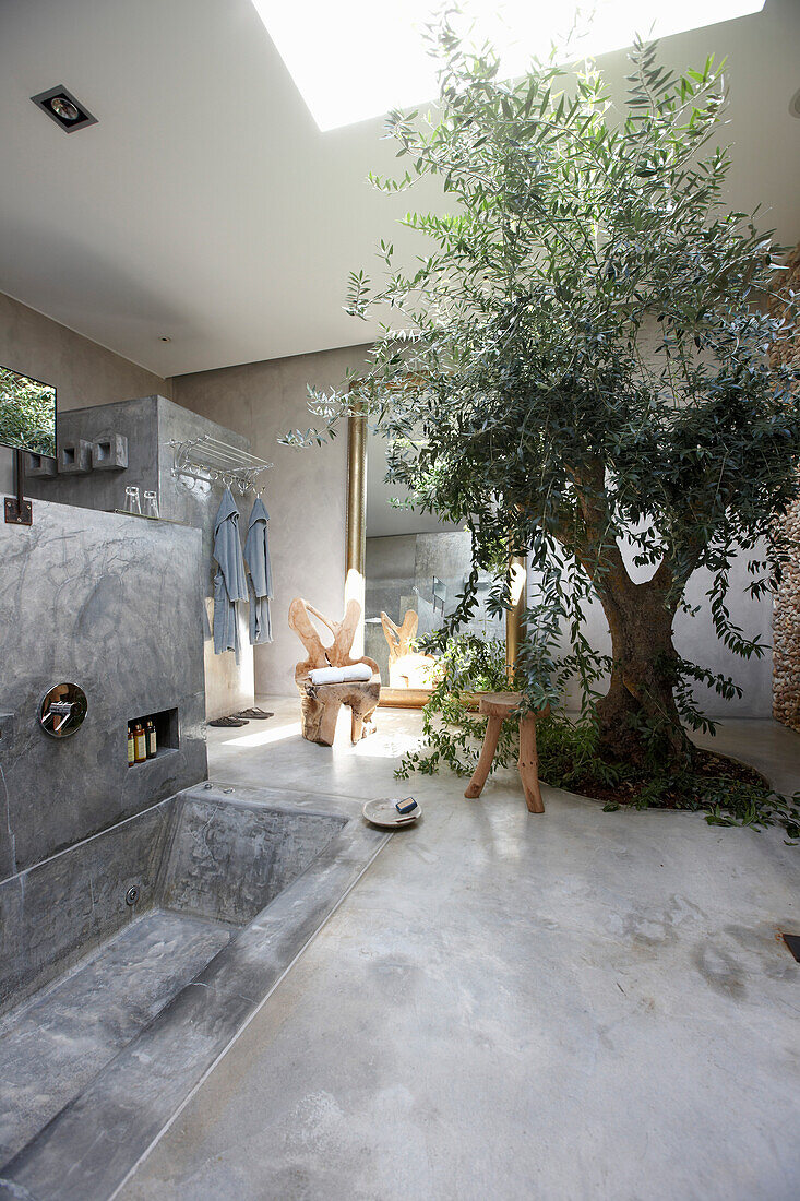 Olive tree and concrete bathtub in the bathroom, Hotel Areias do Seixo, Povoa de Penafirme, A-dos-Cunhados, Costa de Prata, Portugal