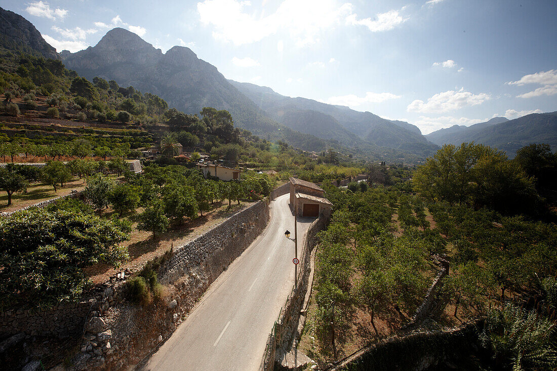 Road MA-2121 near Fornalutx, terraced fields, in the direction Soller valley, Tramuntana mountains, Mallorca, Balearic Islands, Spain
