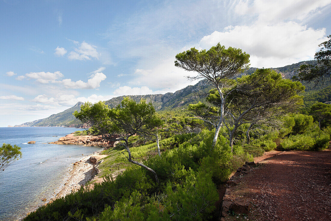 Coastal trail near Port des Canonge, Platja de Son Bunyola, west of Valldemossa, Tramuntana mountains, Mallorca, Balearic Islands, Spain
